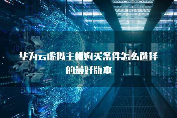如何選擇最適合個(gè)人互聯(lián)網(wǎng)服務(wù)的虛擬主機(jī)購(gòu)買條件與設(shè)置指南
